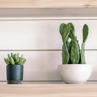 5 Easy Ways to Style Your Indoor Plants with the Right Planters