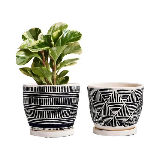 Boho Cement Flower Pots Indoor Outdoor Planters With Drainage Saucers
