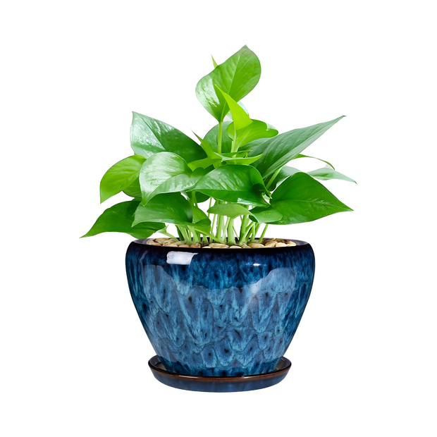 Ceramic Modern Blue Planter Pot with Saucer for Indoor Plants