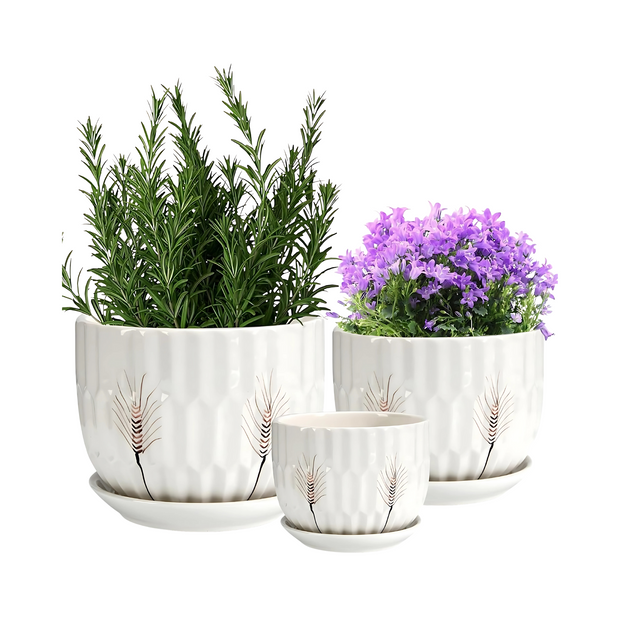 Ceramic Plant Pots Indoor Outdoor Flower Planters with Drainage Saucers