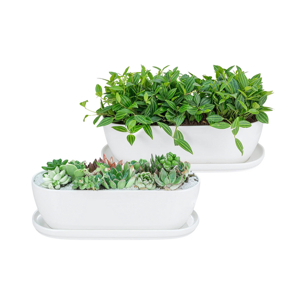 Ceramic Planter Pots Indoor Outdoor Succulent Flower Pots with Drainage