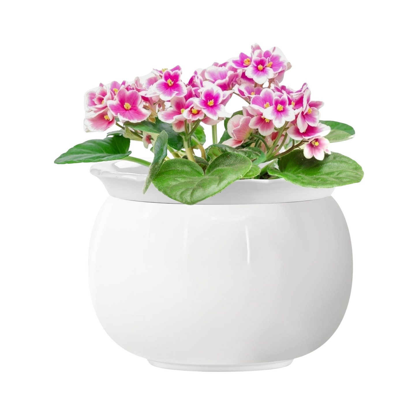 Ceramic Self Watering African Violet Pot Indoor Planter for Plants