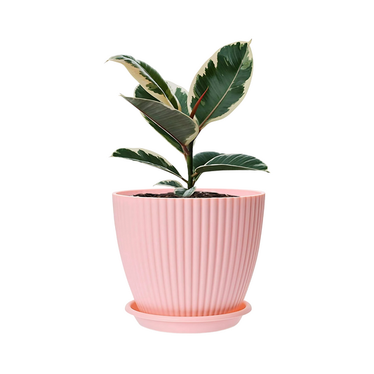 Colorful Plastic Planters with Drainage for Indoor Outdoor Decorative Plants