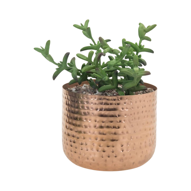 Copper Metal Plant Pot Decorative Modern Succulent Indoor Flower Planter