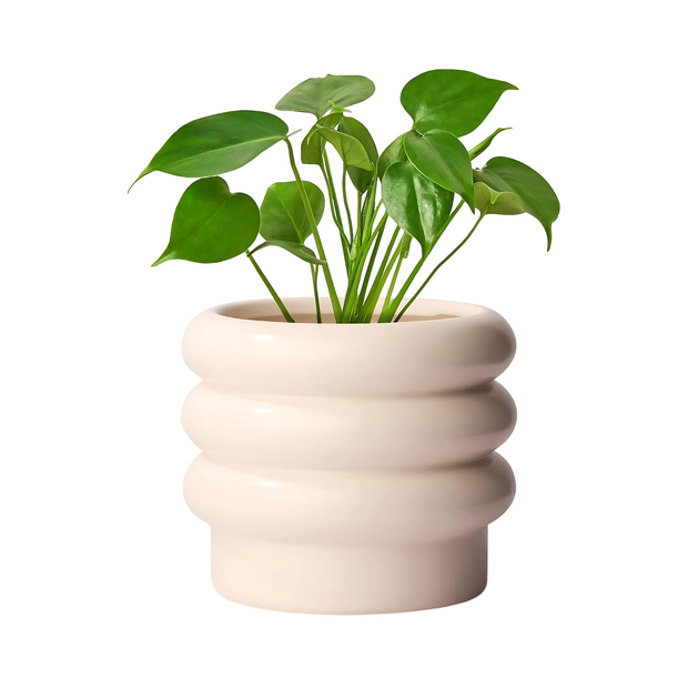Creamy White Ceramic Plant Pot Modern Indoor Outdoor Flower Planter