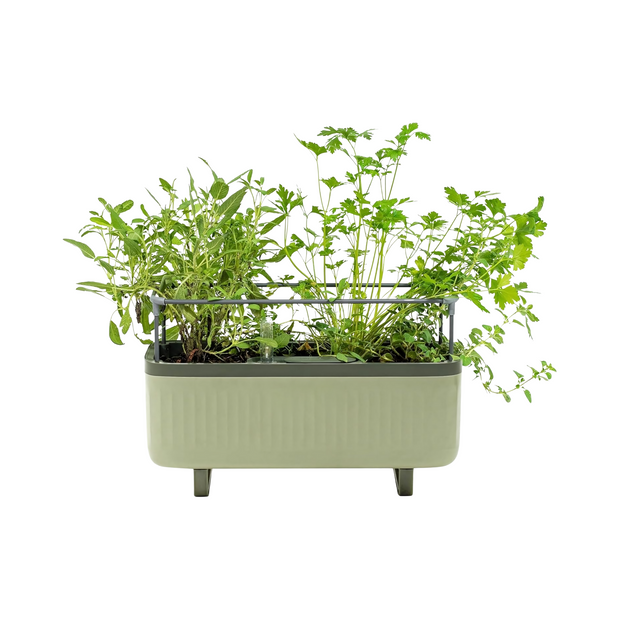 Indoor Herb Planter Box Self Watering Garden Pot with Trellis