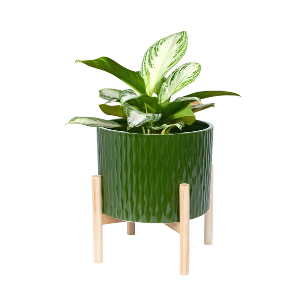 Modern Ceramic Planter Pot with Wooden Stand Indoor Outdoor Decor