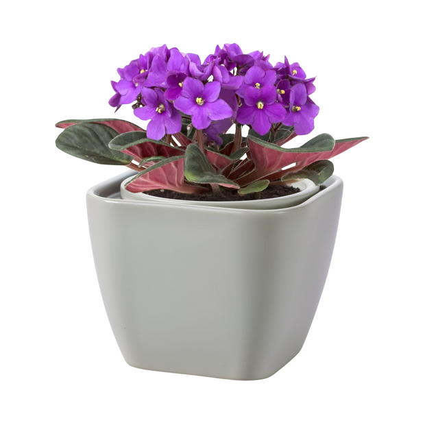 Self Watering Ceramic Planter Square Gray Indoor Pot for Plants