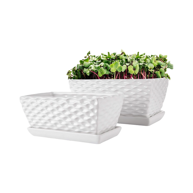 White Ceramic Rectangular Planter Pots Modern Succulent Containers with Saucer