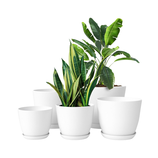 White Plastic Planters with Drainage Trays for Indoor Plants
